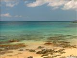 Playa el Gallito - VIEQUES